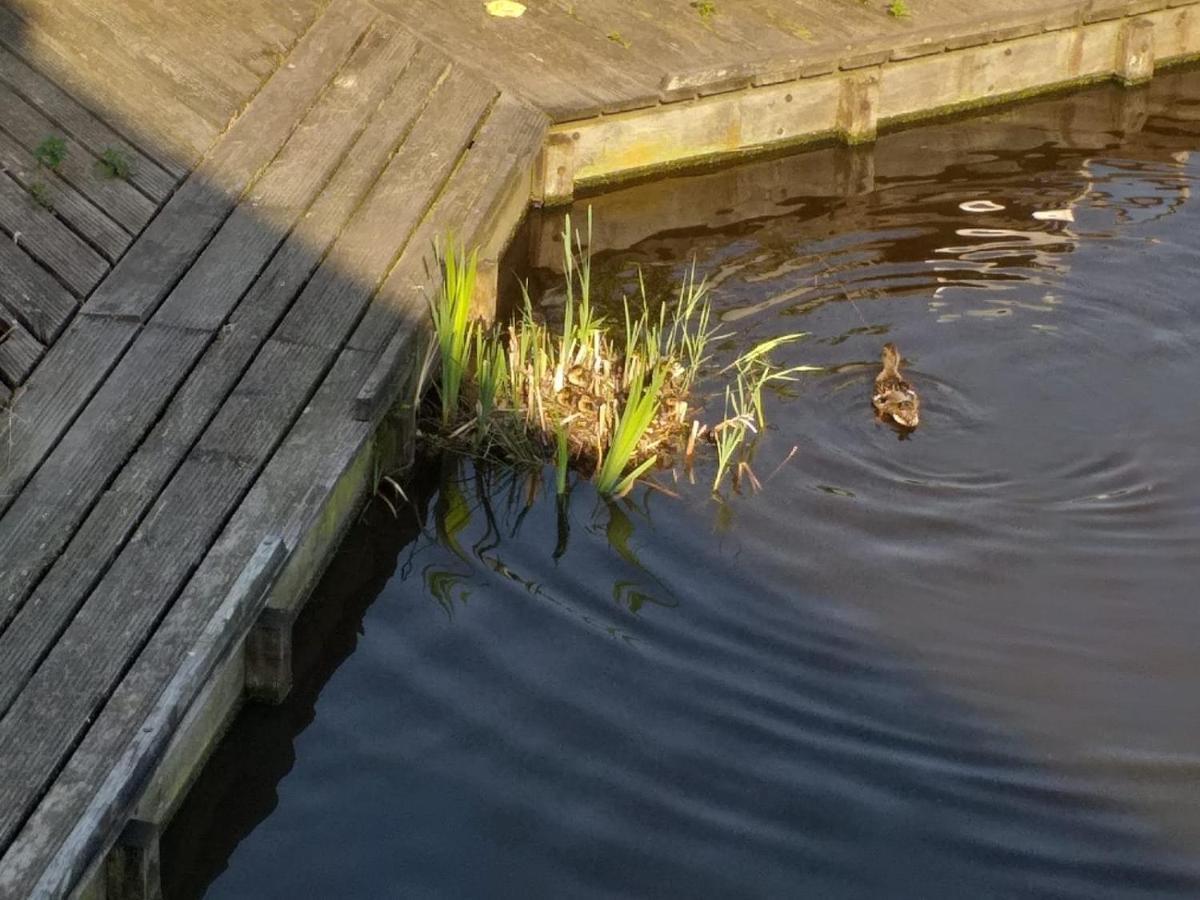 Willa Huisje Aan Het Water, Omgeving Amsterdam Zaandam Zewnętrze zdjęcie